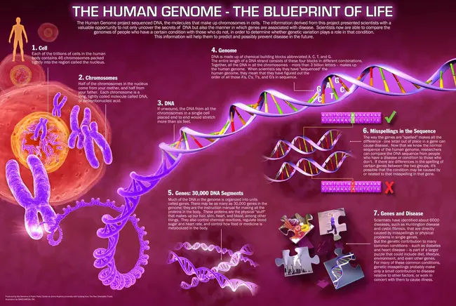 Genome Database : 基因组数据库