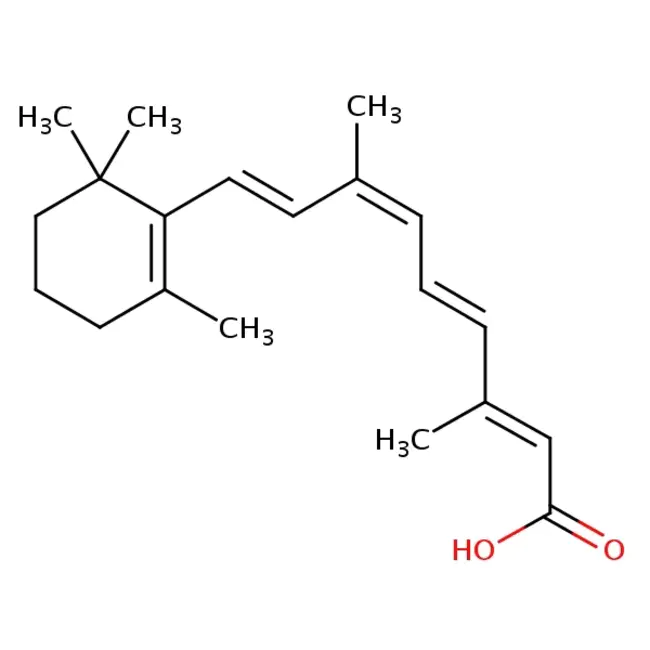 Retinoic Acid Receptor : 维甲酸受体