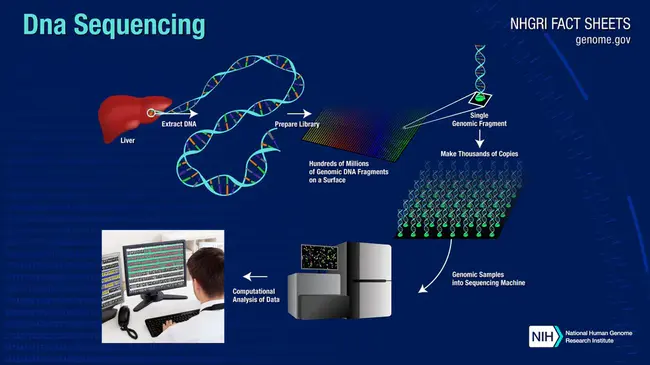 Sequencing by Hybridization : 杂交测序