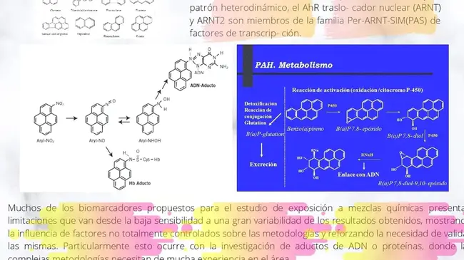 Compañía Arrendataria del Monopolio de Petróleos, S. A. : Petroleos Monopoly 承租人公司，S.A.