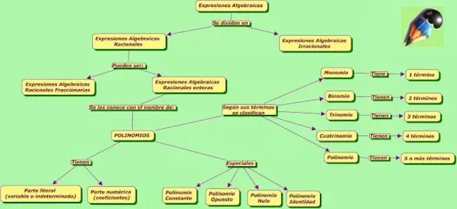 Coordinadora de Organizaciones Sindicales : 工会组织协调员