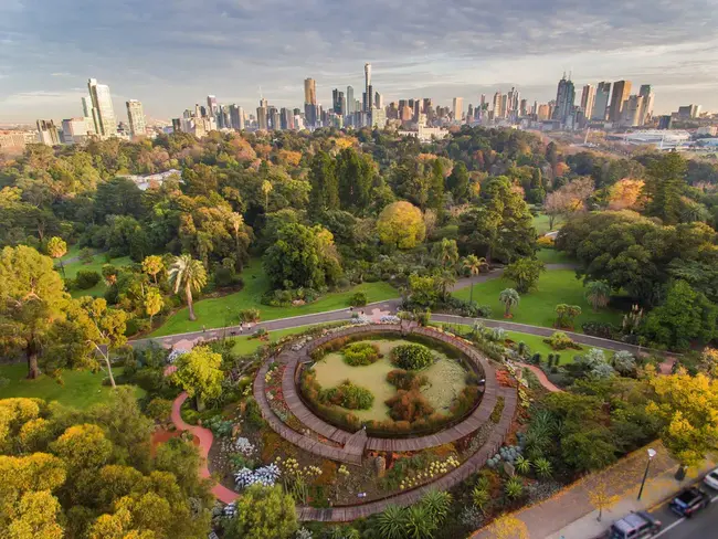 Botanic Gardens Conservation International : 国际植物园保护联盟