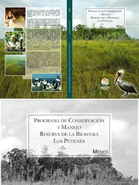 Programa de Manejo y Conservación de Bosques de la Península de Osa : 奥萨半岛森林管理和保护计划