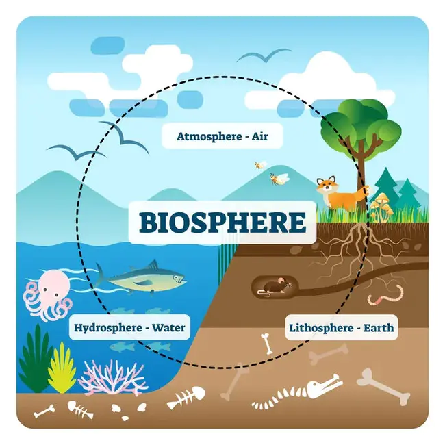 Biosphere Reserve : 生物圈保护区