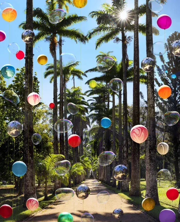 Jardim Botânico do Rio de Janeiro : 里约热内卢植物园