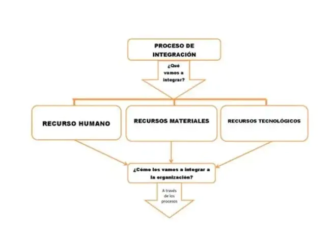 Sociedad para el Estudio de Recursos Bióticos de Oaxaca : 瓦哈卡州生物资源研究会