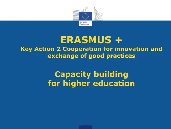 Erasmus Research Institute of Management : 伊莱姆斯管理研究所