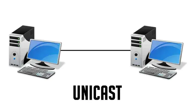 Unicast Source Address : 单播源地址