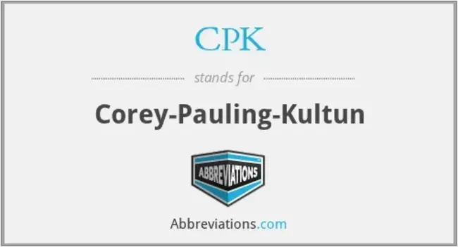 Corey-Pauling-Kultun : 科里-鲍林-库尔通