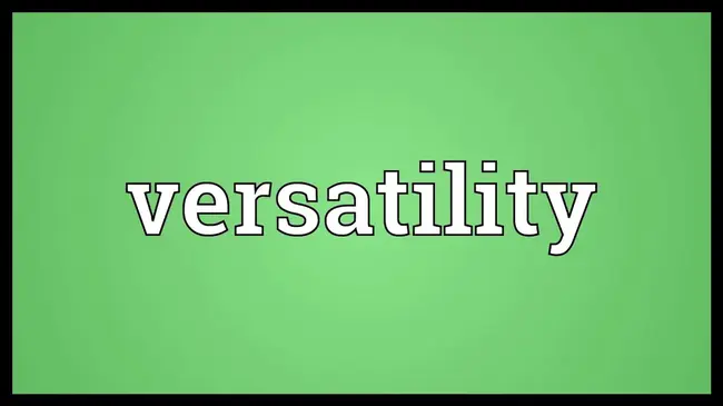 Versatility : 多才多艺