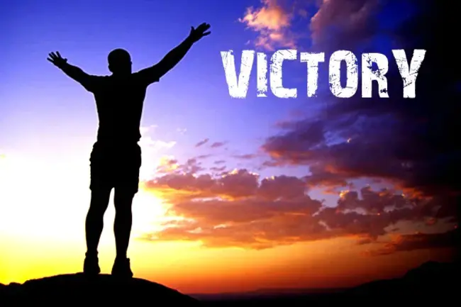 Victory : 胜利