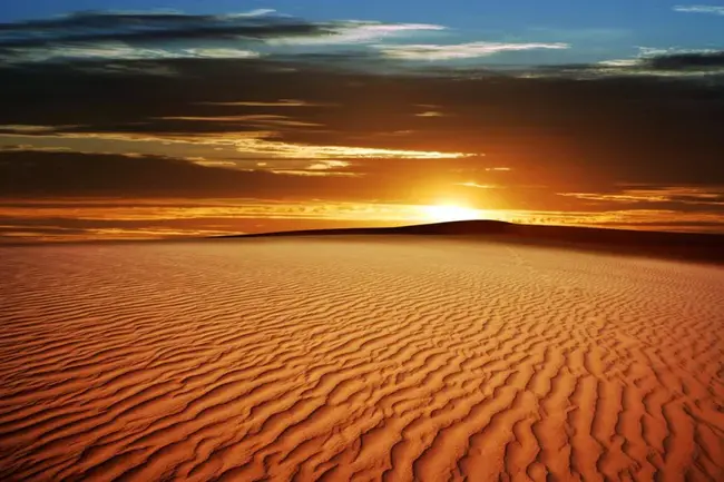 Desert Dreams : 沙漠之梦