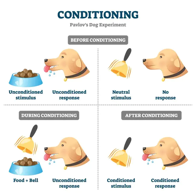 Conditioned Stimulus : 条件刺激