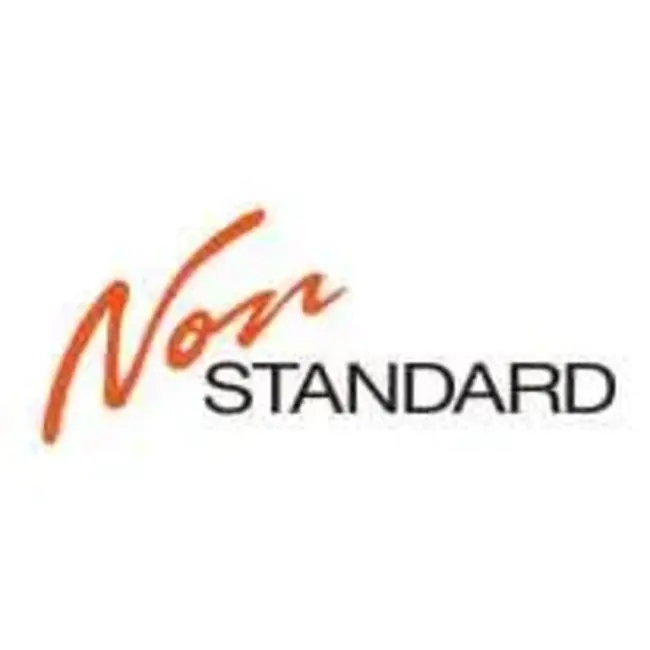 Non-Standard : 非标准