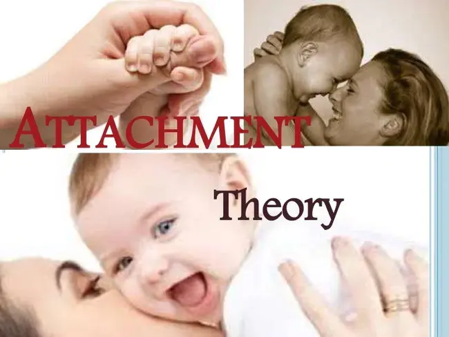 Attachment Parenting : 依附育儿法