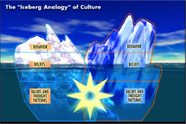 American Cultural Exchange : 美国文化交流