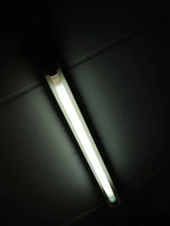 Fluorescent Lighting : 荧光灯