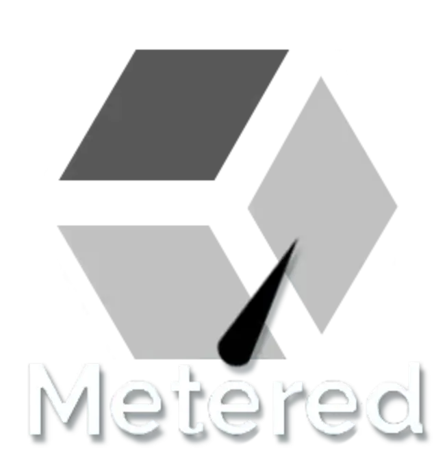 Metered Tariff : 计量关税