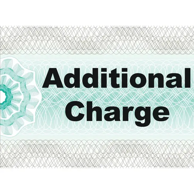 Additional Charge : 附加费