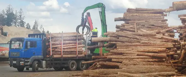 Timber Supply : 木材供应