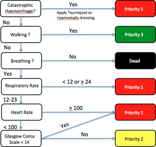 Triage Station Controller : 分诊站控制器