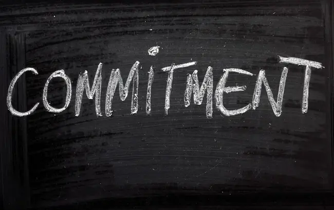 Commitment : 承诺