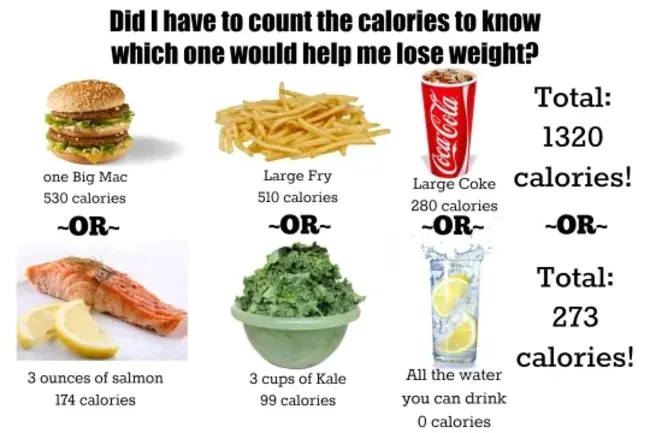 Calorie : 卡路里