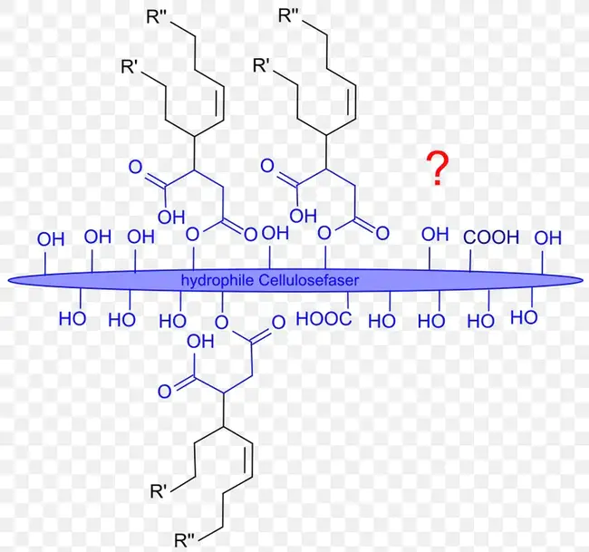 Alkenyl Succinic Anhydride : 烯基琥珀酸酐