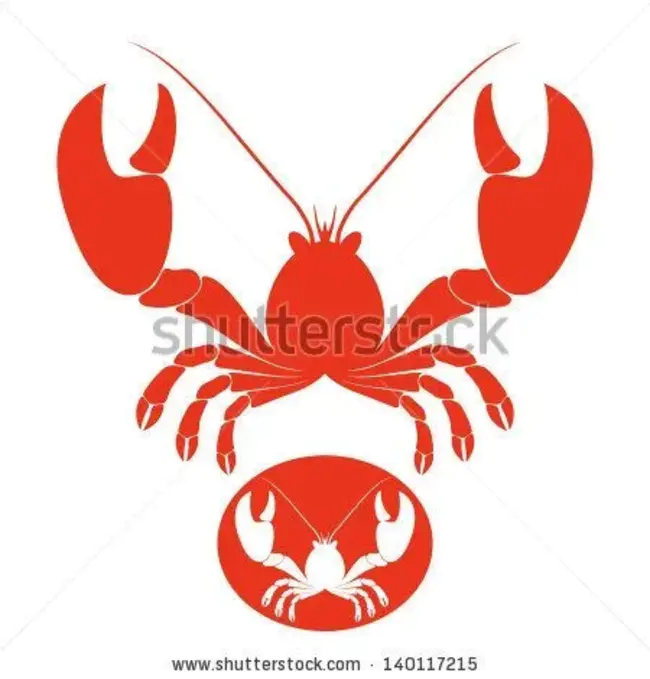 Lobster Claw : 龙虾爪