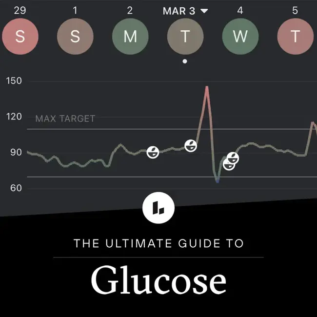 Glucose Tolerance : 葡萄糖耐量