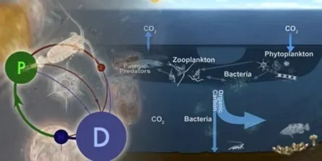 Dissolved Oxygen : 溶解氧