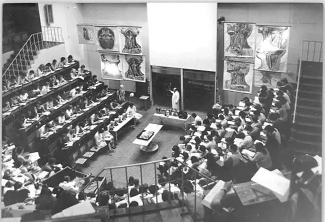 University Lecture Hall : 大学报告厅