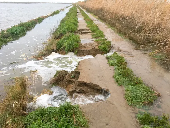 Center for Prevention and Counseling : 预防和咨询中心