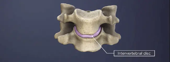 Benign Paroxysmal Positional Vertigo : 良性阵发性位置性眩晕