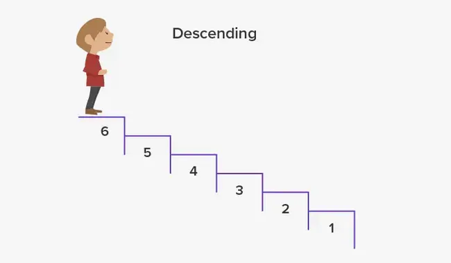 Descending Inhibitory Pathway : 下降抑制通路