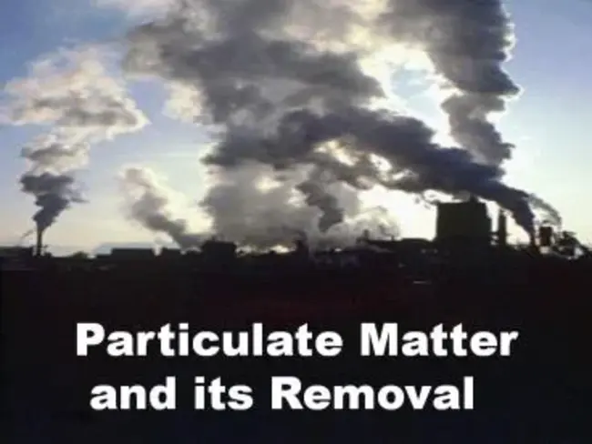 Particulate Matter : 颗粒物