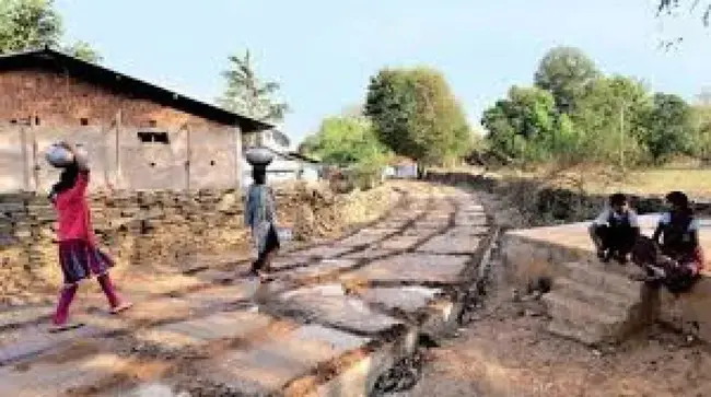 Rural Development Foundation : 农村发展基金会