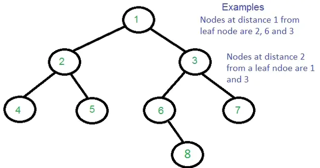 Node Numbering Agent : 节点编号代理