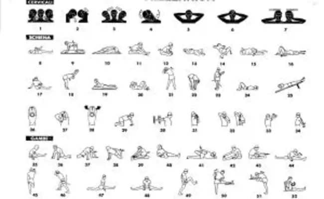 Stretching, Aerobic, and Strengthening : 拉伸、有氧和强化
