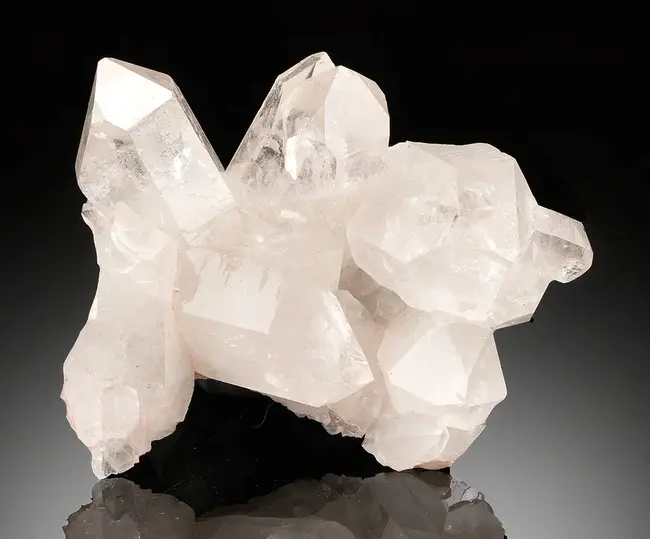 Quartz Date : 石英枣