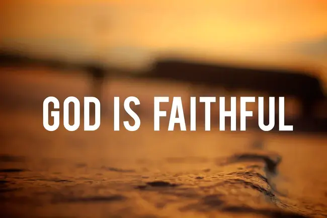 Faithful : 忠实的
