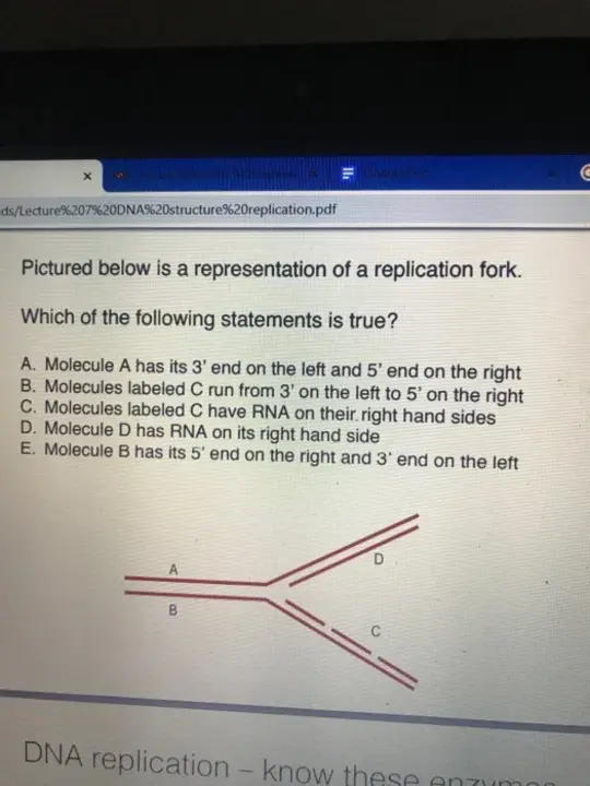 Globe Replication Protocol : 全球复制协议