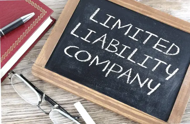 Limited Liability Partnership : 有限责任合伙企业