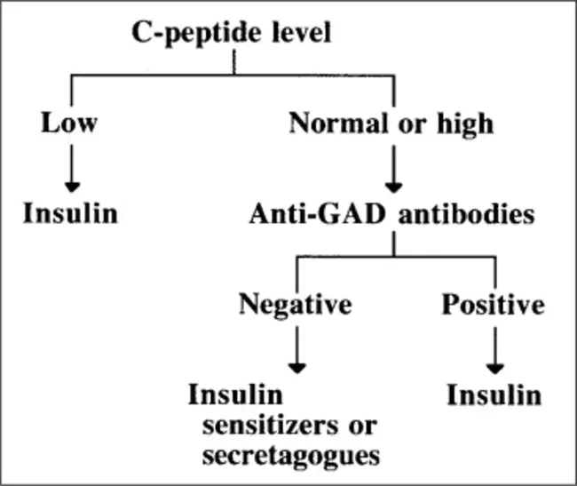 Glutamic Acid Decarboxylase : 谷氨酸脱羧酶