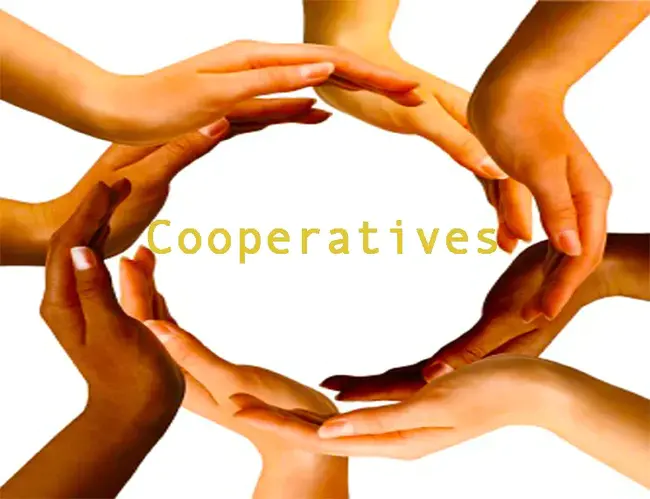 Cooperative Services International : 国际合作服务
