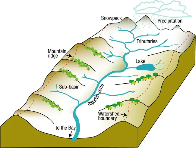 Watershed Modeling System : 流域建模系统