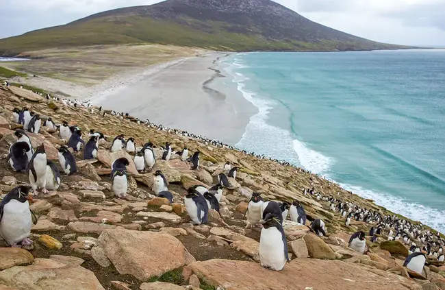 Falkland Unspoilt Naturals : 福克兰未受破坏的自然景观