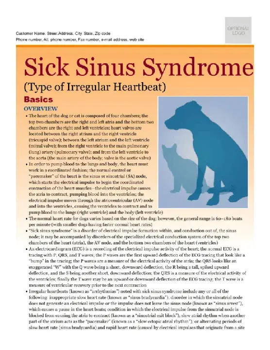 Sick Sinus Syndrome : 病窦综合征