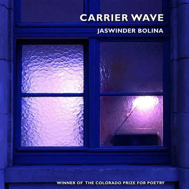 Carrier Wave : 载波