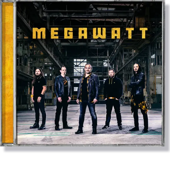 Megawatt : 兆瓦级